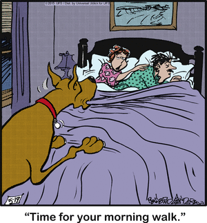 marmaduke